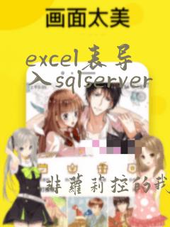 excel表导入sqlserver