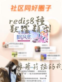 redis8种数据类型