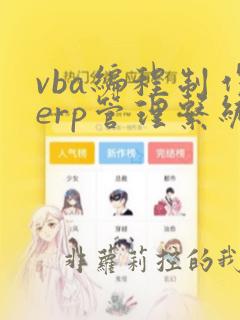vba编程制作erp管理系统