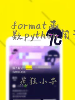 format函数python用法