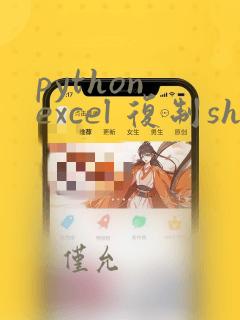 python excel 复制sheet