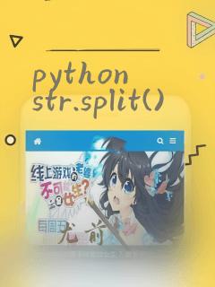 python str.split()