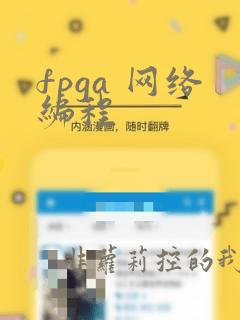 fpga 网络编程