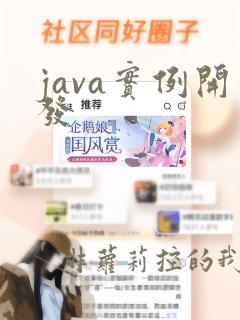 java实例开发