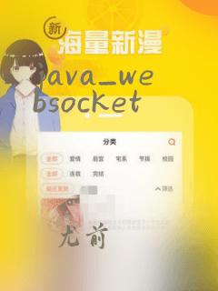 java_websocket