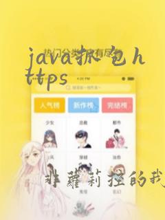 java抓包https