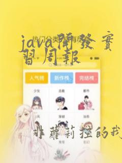 java开发实习周报