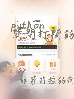 python 关闭打开的excel