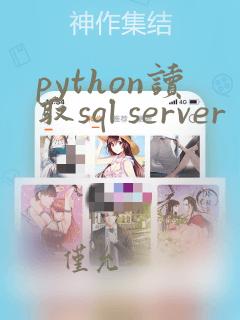 python读取sql server