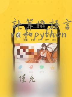 计算机语言java和python