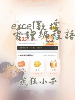 excel数据处理编程语言