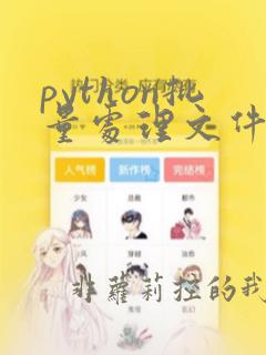 python批量处理文件