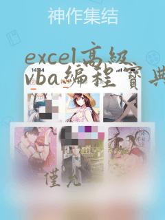 excel高级vba编程宝典