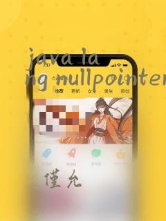 java lang nullpointer exception