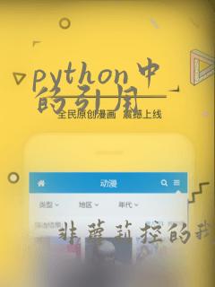 python中的引用