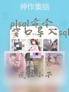 plsql命令窗口导入sql文件