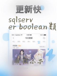 sqlserver boolean类型