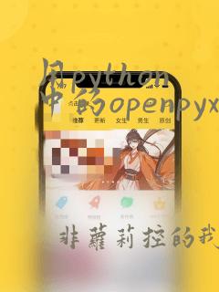 用python中的openpyxl处理excel数据