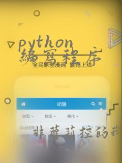 python 编写程序