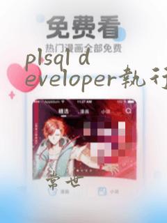 plsql developer执行sql文件