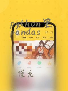 python里pandas