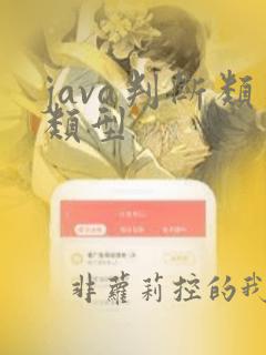 java判断类类型