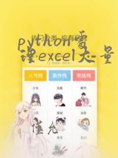 python处理excel大量数据慢