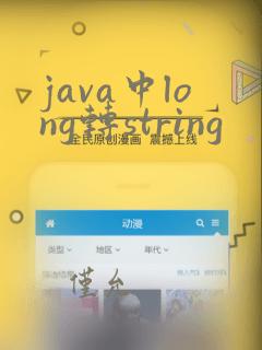 java中long转string