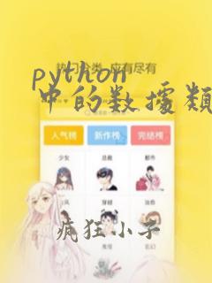 python 中的数据类型