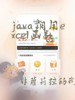 java调用excel函数