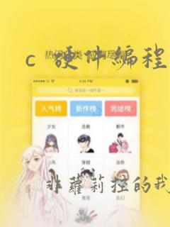 c  硬件编程