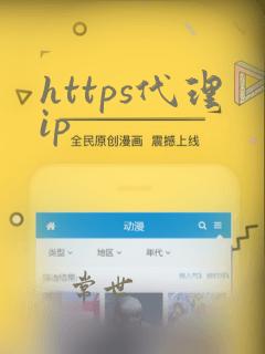 https代理ip