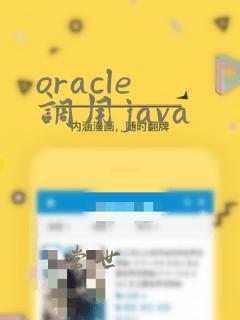 oracle 调用java