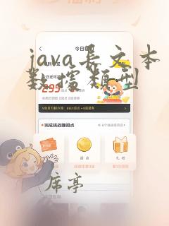java长文本数据类型
