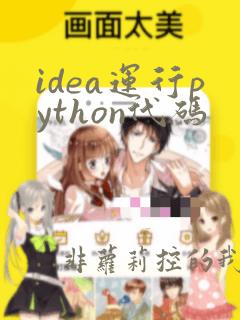 idea运行python代码