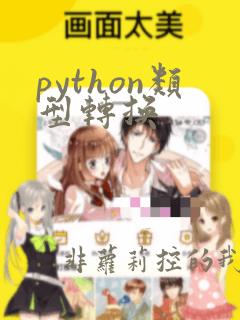 python类型转换