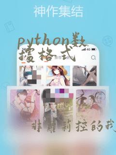 python数据格式