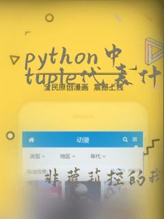 python中tuple代表什么