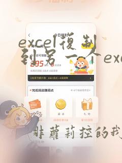 excel复制到另一个excel格式不变