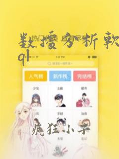 数据分析软件sql