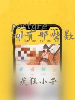 postgresql有哪些数据类型