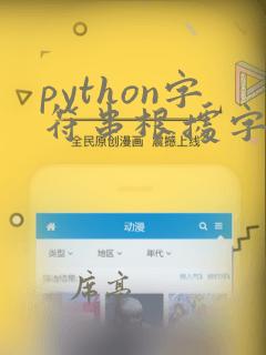 python字符串根据字符截取