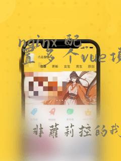 nginx 配置多个vue项目
