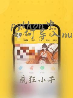 python中如何导入numpy