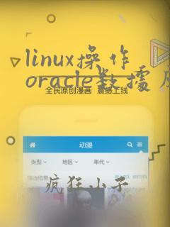 linux操作oracle数据库常用命令