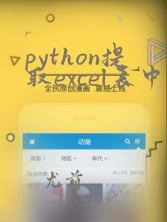 python提取excel表中指定行和列的数据