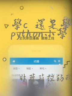 学c 还是学python小学生