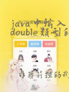 java中输入double类型的数据