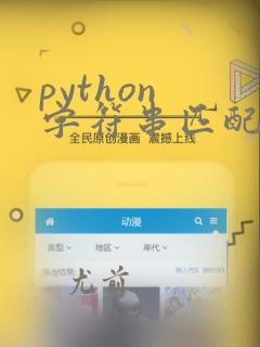 python 字符串匹配函数