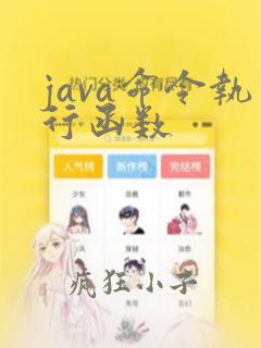 java命令执行函数